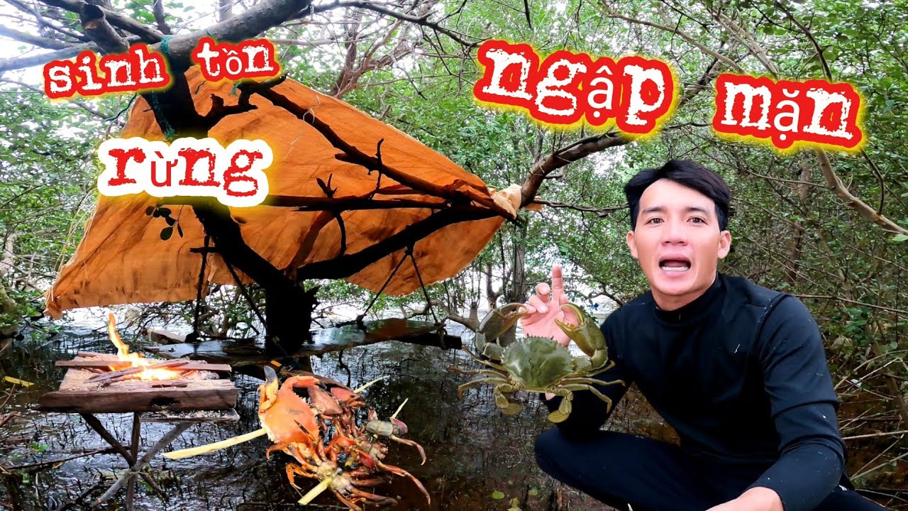 24h sinh tồn rừng ngập mặn chế tạo bẫy cua mộc | Mangrove forest survival