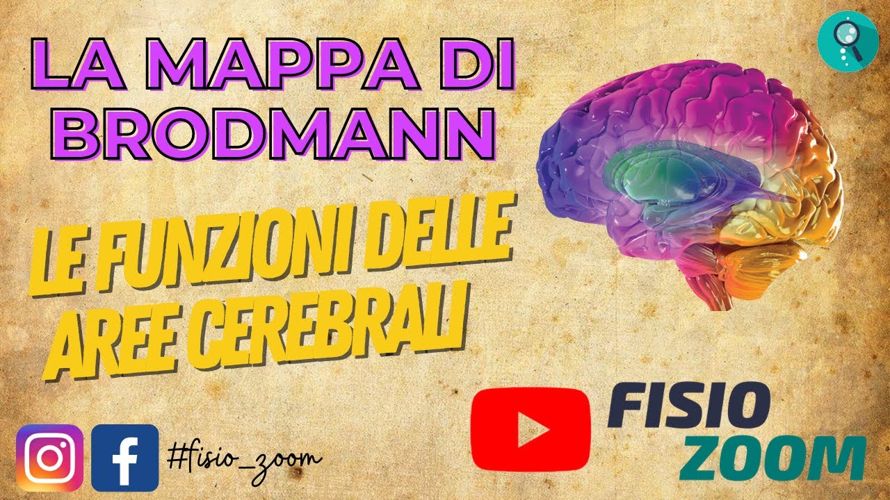 LA MAPPA DI BRODMANN/ Conosci la suddivisione delle aree cerebrali?