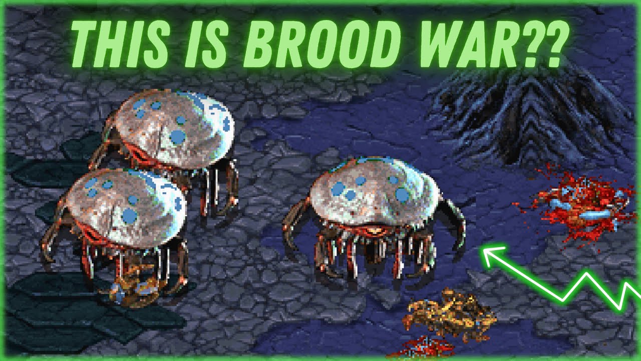 Этот мод полностью перерабатывает Brood War - Cosmonarchy PvZ Cast!