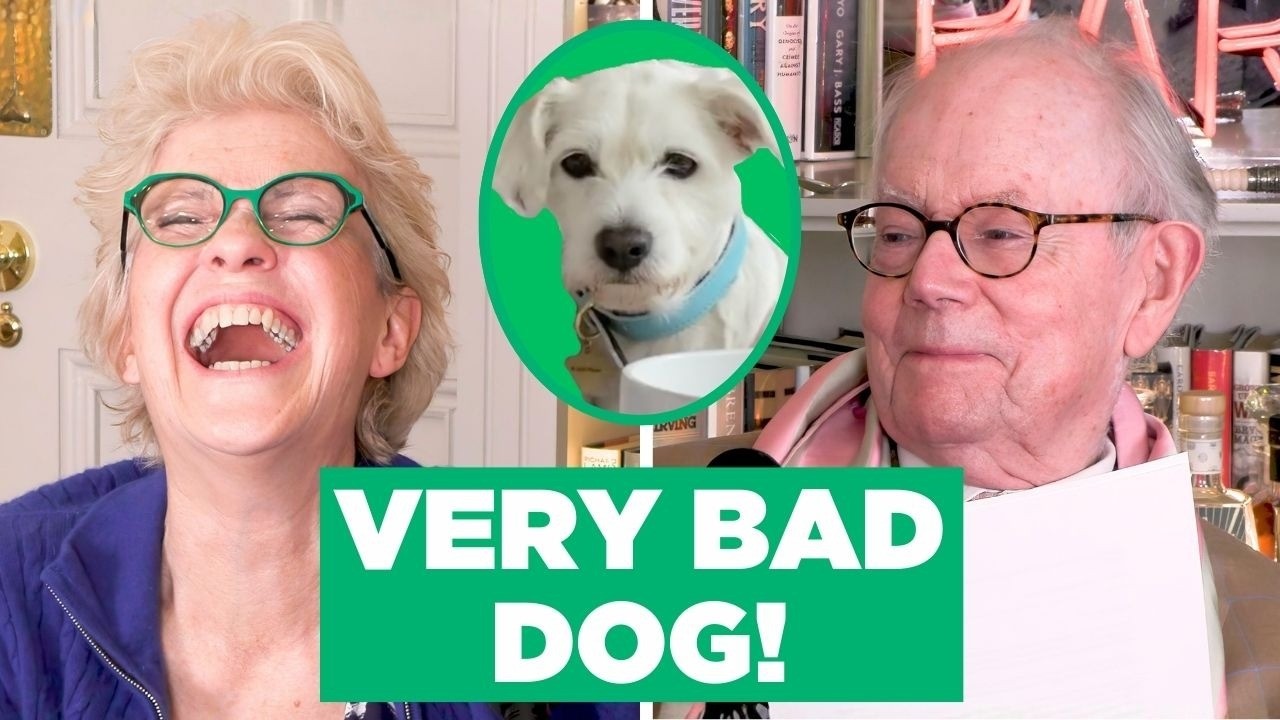 The Mystery Of The Missing Poos | The Wittering Whitehalls