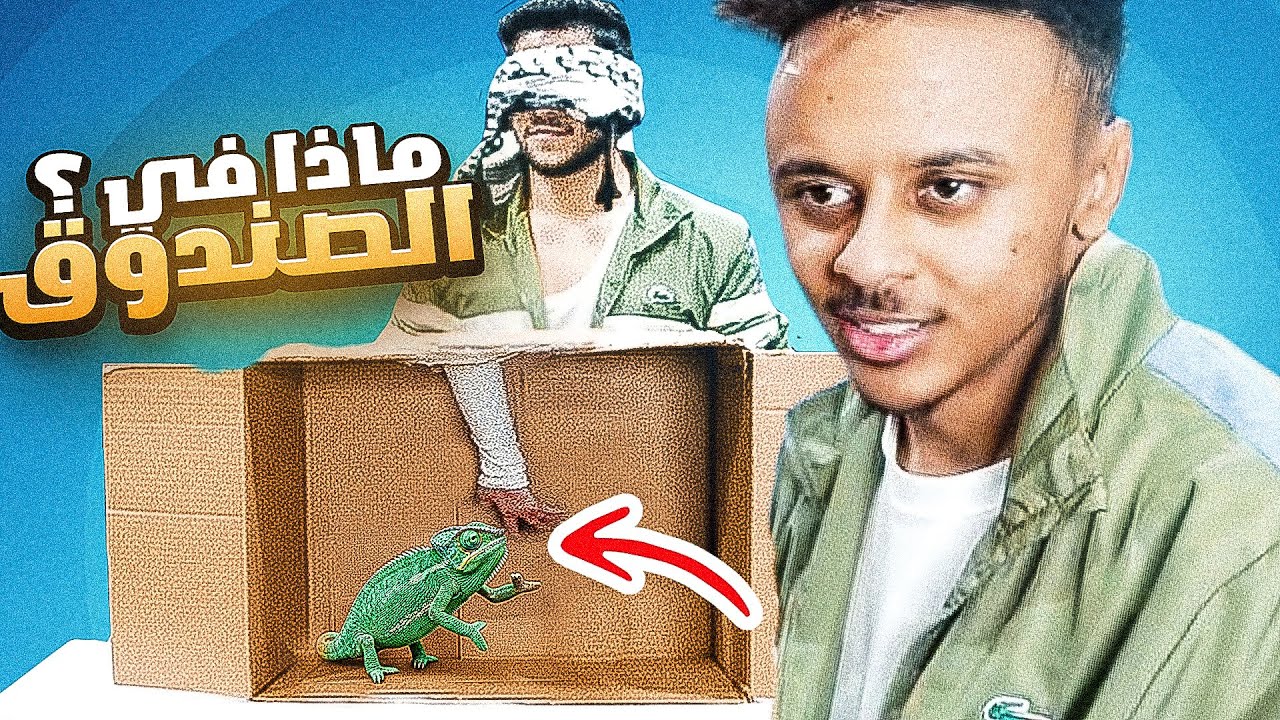 ماذا في الصندوق؟
