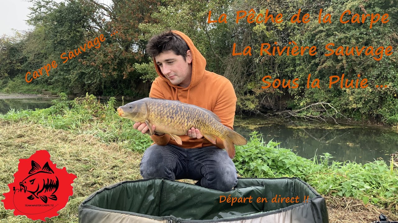 La P&ecirc;che de la Carpe, La Rivi&egrave;re Sauvage, Sous la pluie ...