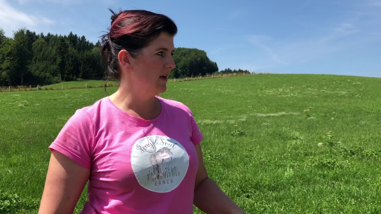 Drei Tipps f&uuml;r den richtigen Umgang mit K&uuml;hen