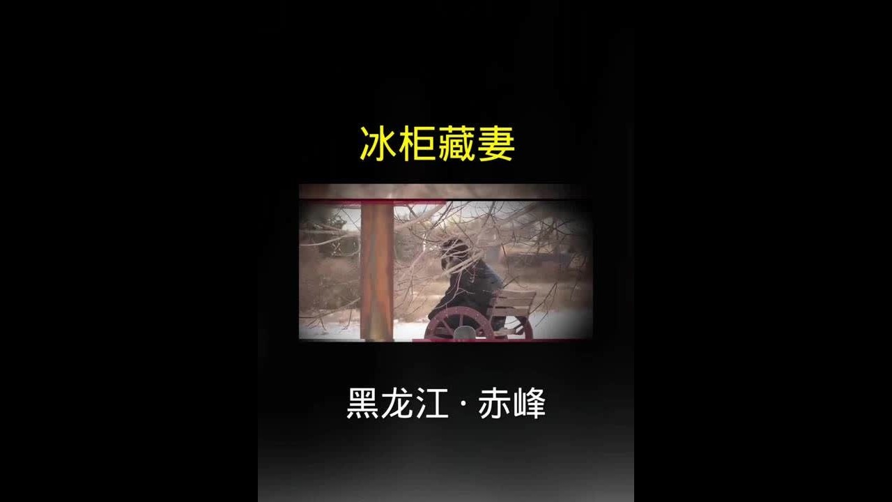 黑龙江赤峰：冰柜藏妻#悬疑 #普法小剧场 #真实事件#大案纪实