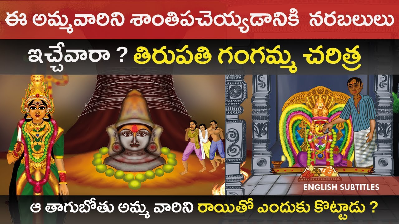 గంగమ్మకి నరబలులు ఇచ్చేవారా ? | Tirumala Tirupati Thathayya Gunta Gangamma Jatara Unknown History Cc
