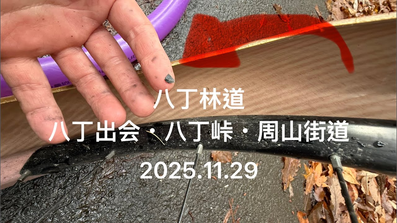 八丁林道 2025.11.29