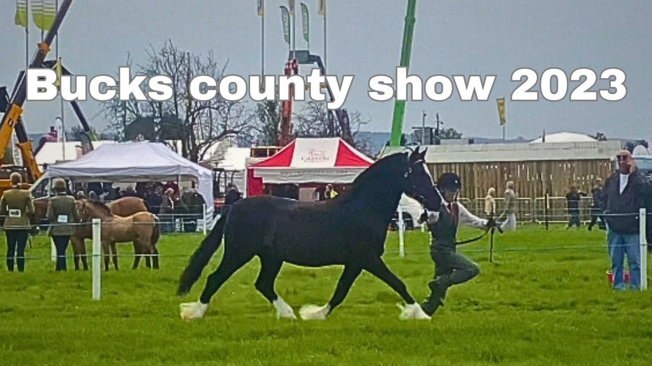 BUCKS COUNTY HORSE SHOW 2023 | Welsh section D in hand showing | horse vlog