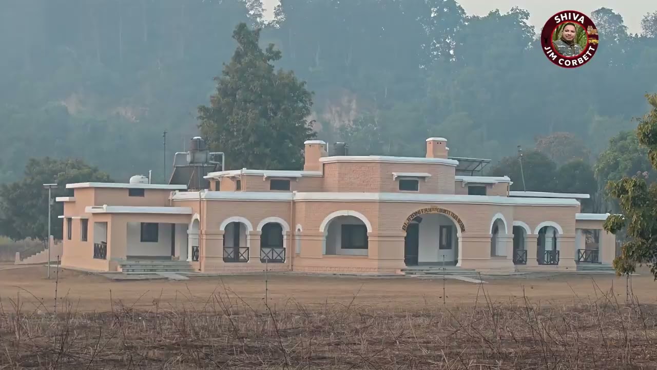Elephant Sighting in Bijrani Zone 