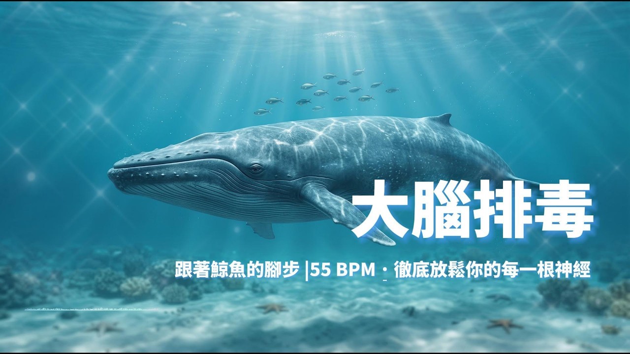 🌊 深度放鬆：清澈流水與極簡鋼琴 —55 BPM 靈魂治癒冥想音樂