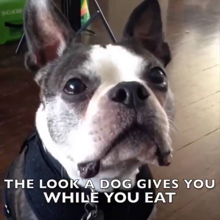 Max Jr Vine Compilation