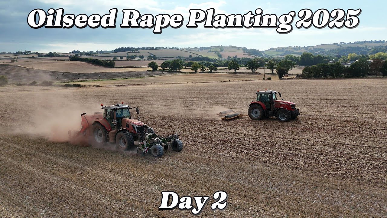 Oilseed Rape Planting 2025 day 2
