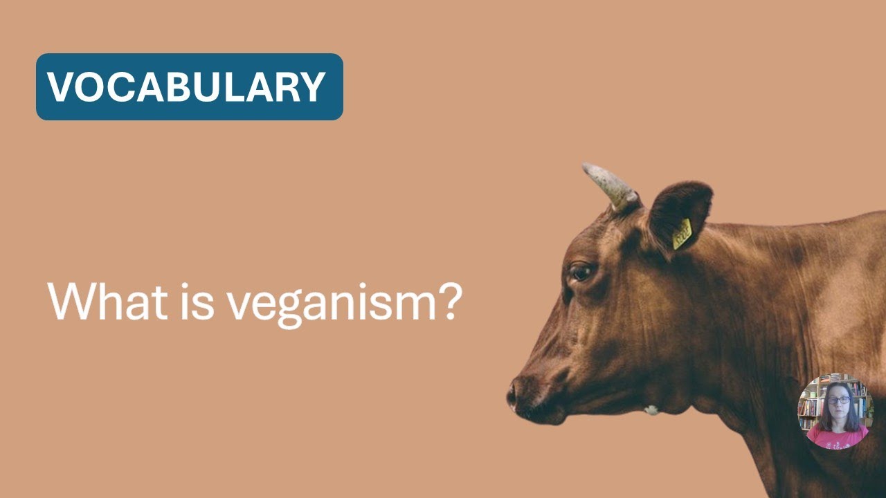 What is veganism - a definition | Vocabulary