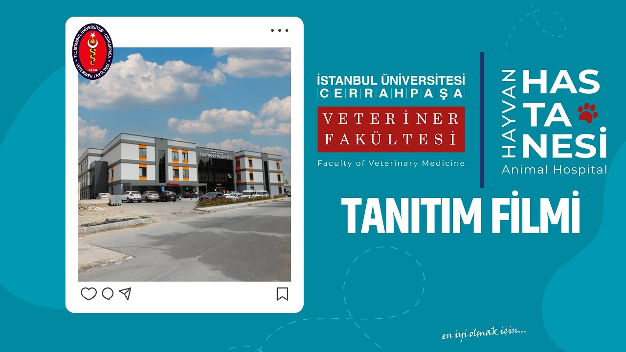 İstanbul Üniversitesi-Cerrahpaşa | Veteriner Fakültesi Hayvan Hastanesi Tanıtım Filmi