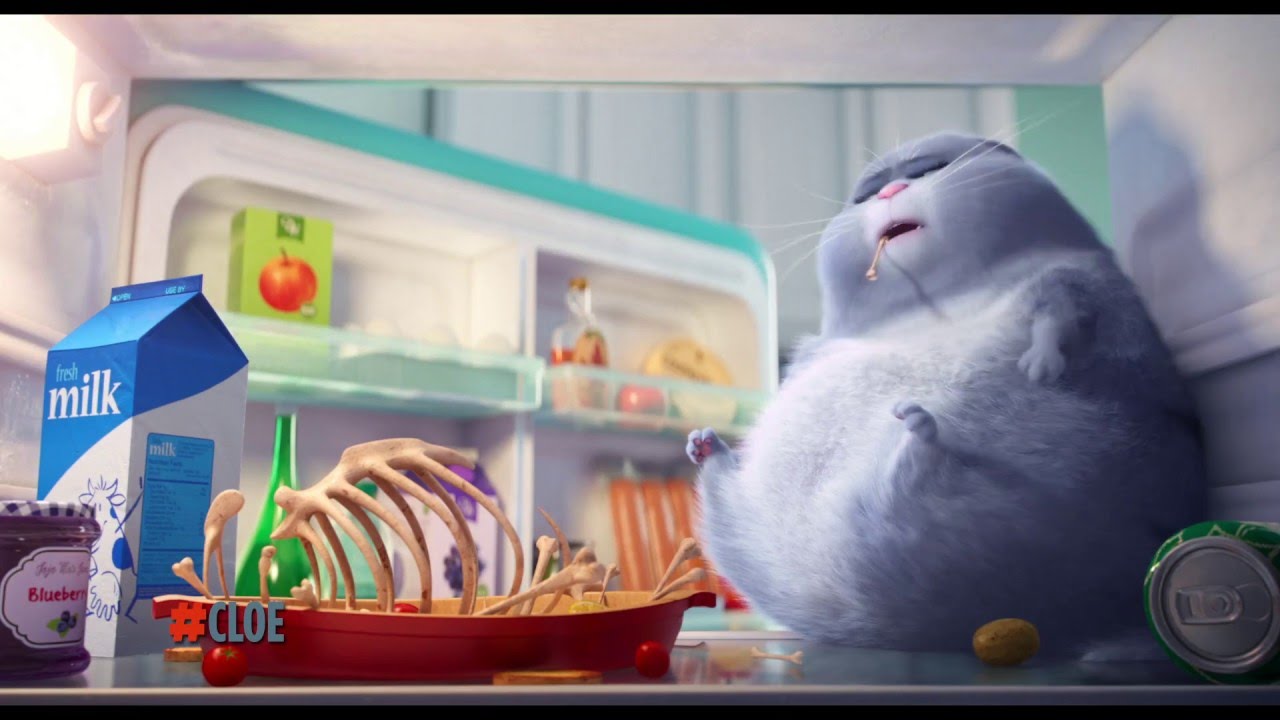 Pets - A Vida Secreta dos Bichos: Chloe
