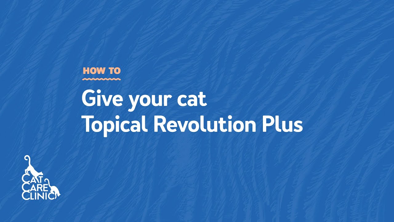 How to Apply Topical Revolution Plus to your Cat (Cat Care Clinic | Madison, WI)