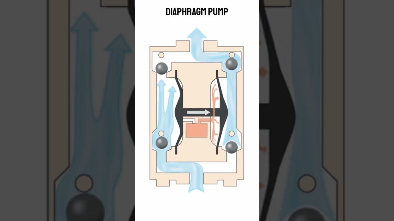 Dynamic Flow: Unveiling the Diaphragm Pump Mechanism