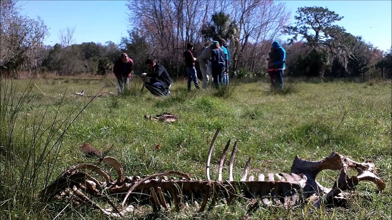 The Bone Yard: Contemplating Death and Dying
