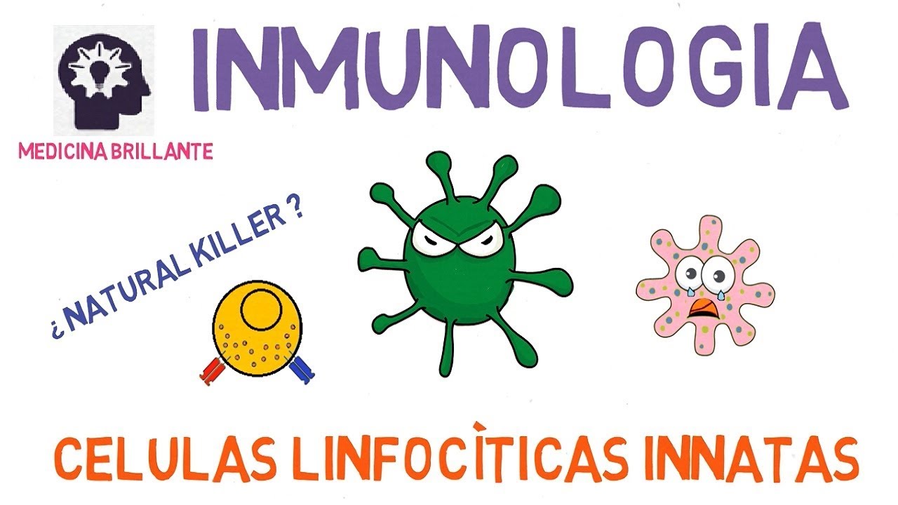 Células Linfocíticas Innatas (Natural Killer)