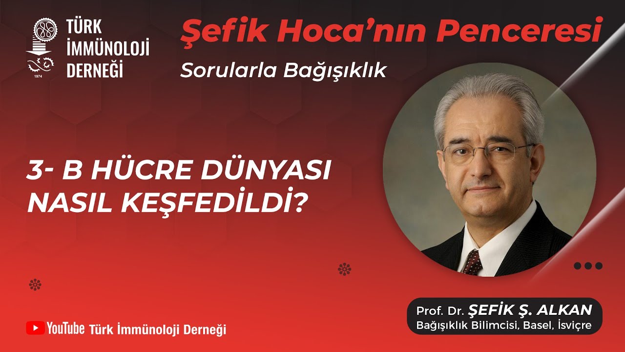 Sorularla Bağışıklık 3 - B Hücre Dünyası Nasıl Keşfedildi? - Prof. Dr. Şefik Alkan