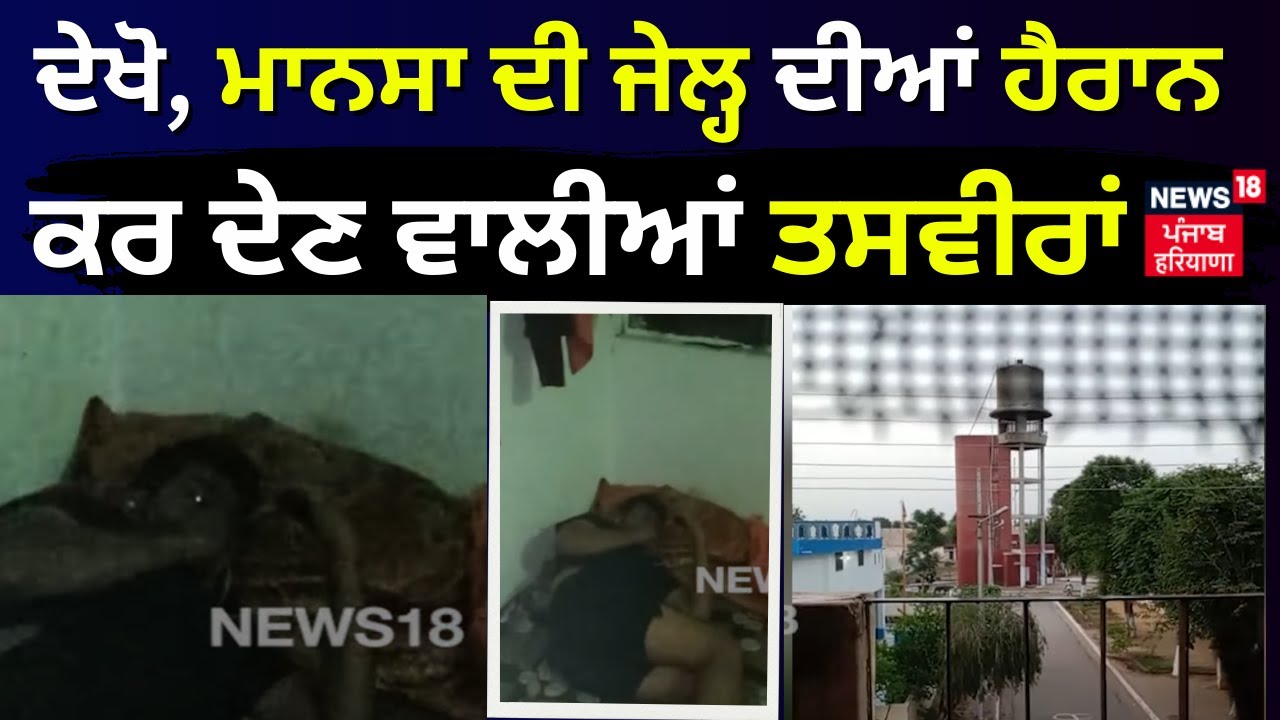 ਦੇਖੋ Mansa Jail  ਦੀਆਂ ਤਸਵੀਰਾਂ ਕਿਵੇਂ ਵਿਕਦਾ Drug, ਕਿਵੇਂ ਚੱਲਦੇ ਜੇਲ੍ਹਾਂ ਅੰਦਰ Mobile | Mansa News | N18V