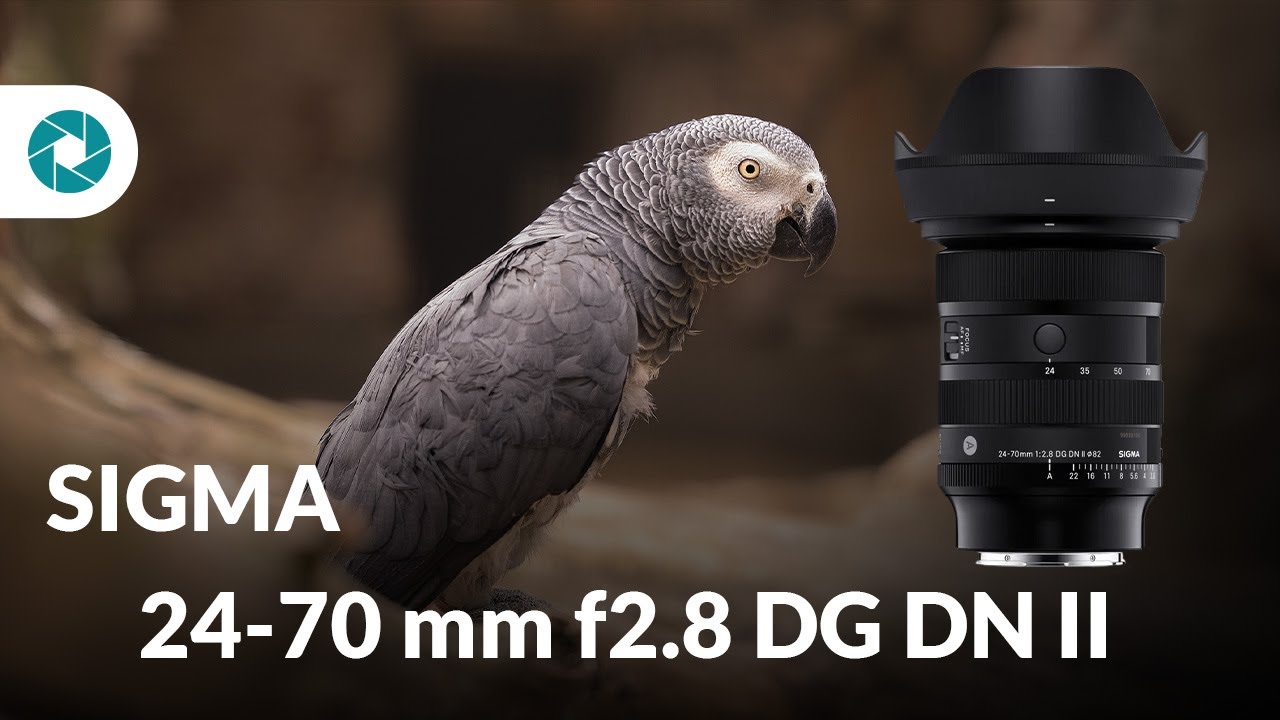 Sigma 24-70 mm f2.8 DG DN II ART | Test i recenzja obiektywu