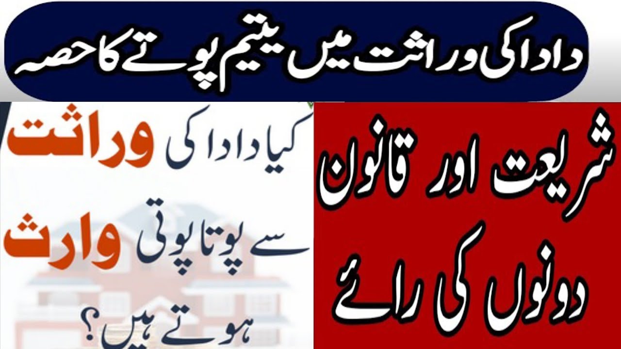 Dada ki Wirasat pe Yateem Poty ka Hissa I Difference of Sharia & Law