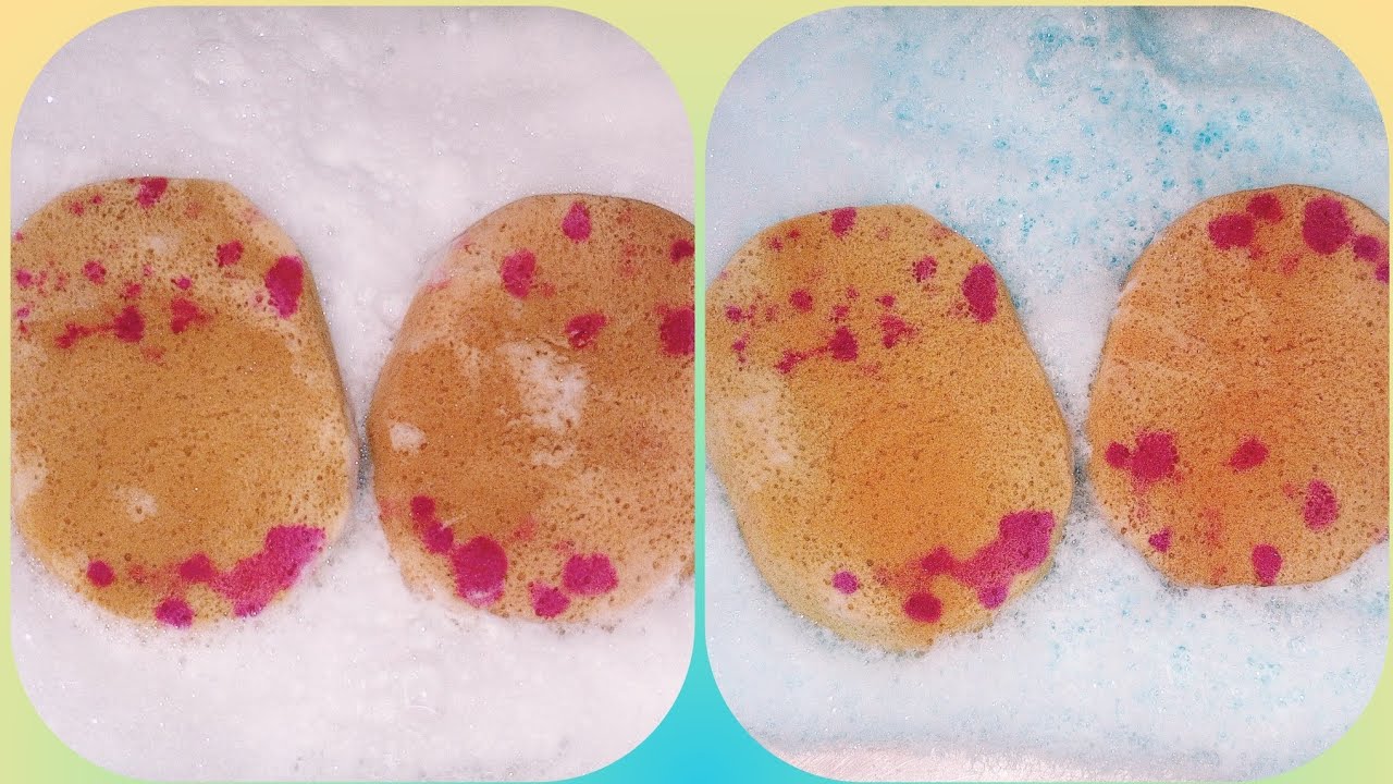 Sudsy Sponge Squeezing