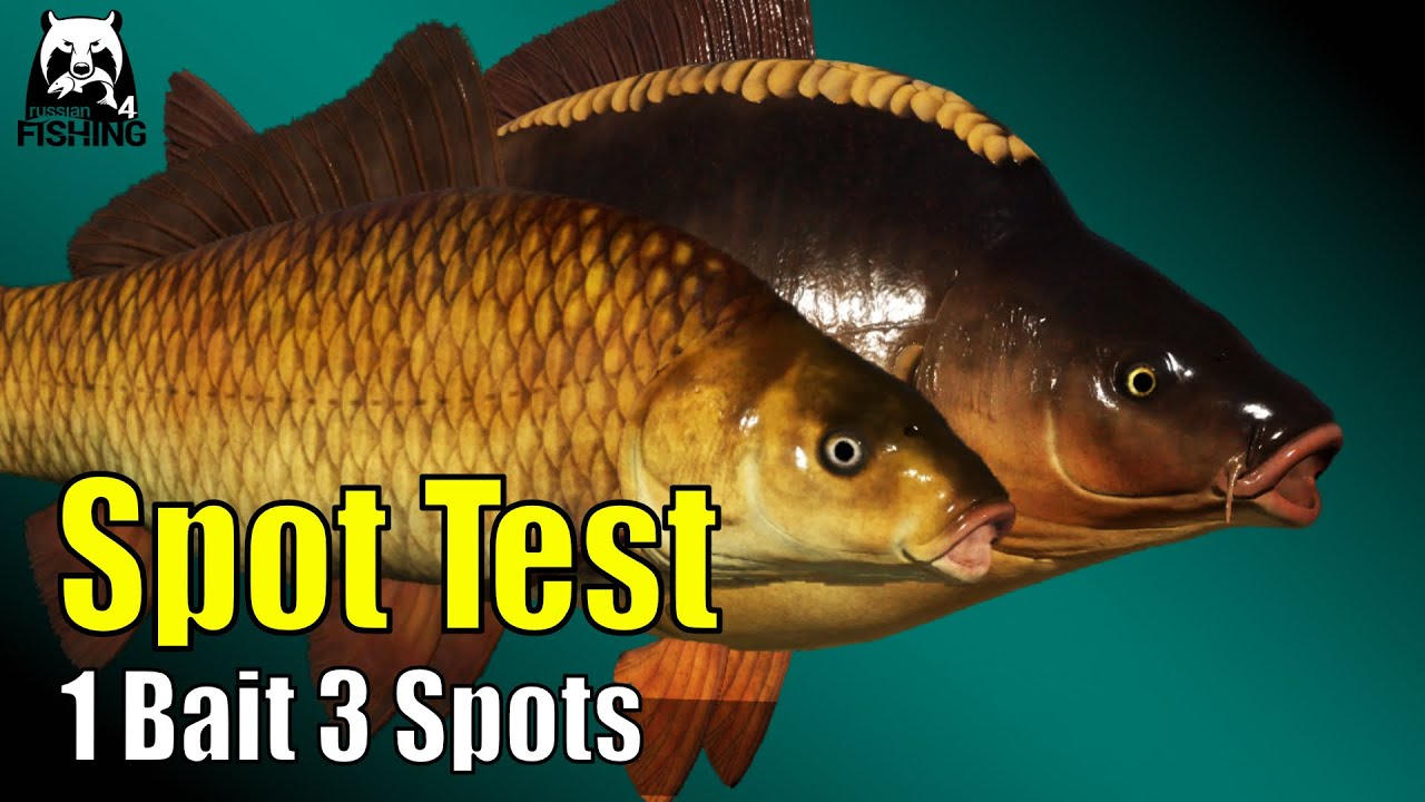 Russian Fishing 4 &ndash; Copper Lake &ndash; 3 Spots, 1 Bait! Pop-Up Rig Spot Test #rf4