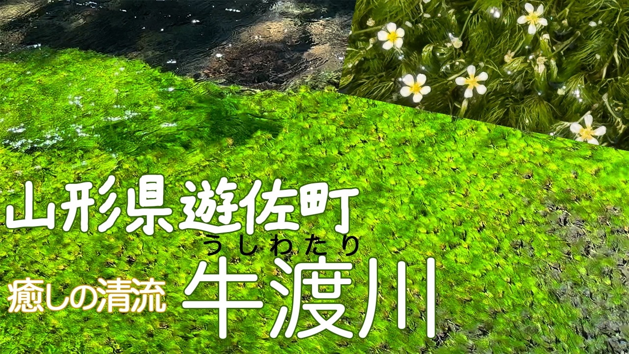 山形県遊佐町牛渡川2025