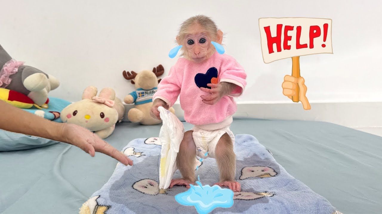 Poor thing: Lucky asked his mom to change his diaper before going to bed!