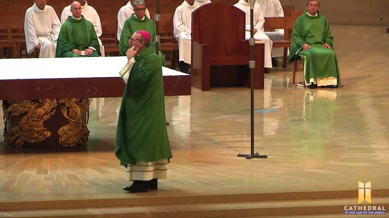 23rd Sunday in Ordinary Time, Homily by Bishop-Elect Robert Barron (9/6/2015)
