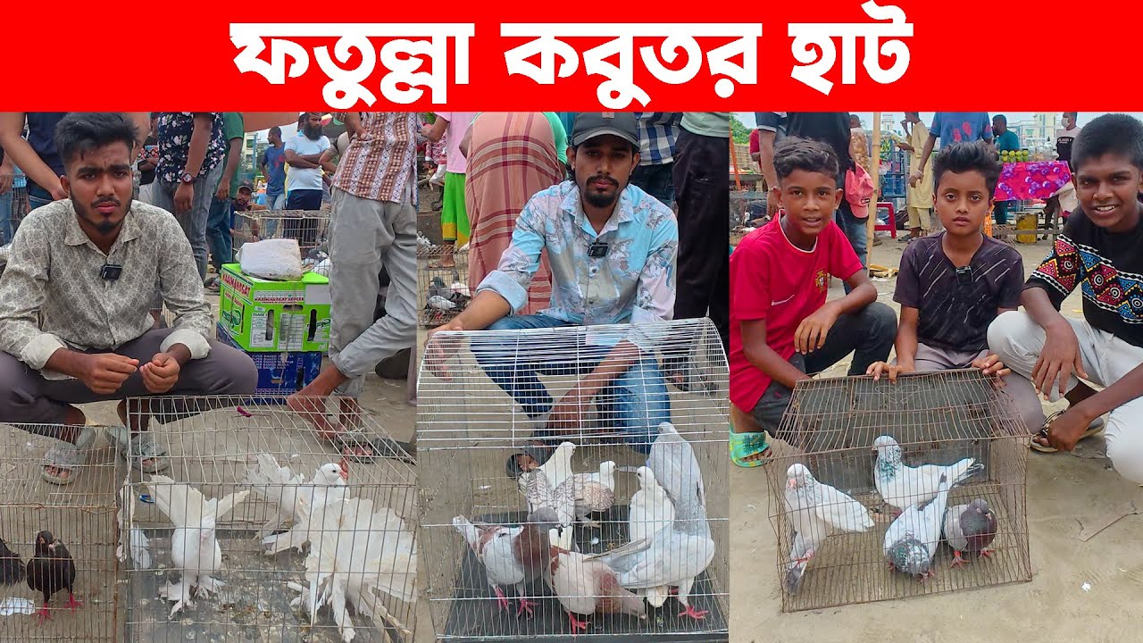 ফতুল্লা কবুতর হাট-২০২৫ | kobutor hat | today pigeon market in bd | fotulla kobutor hat
