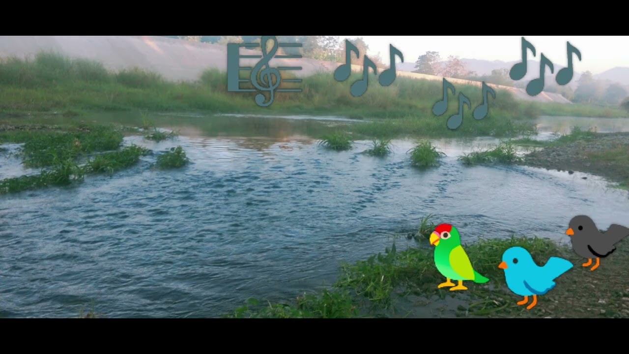 Riverflow, Calm Music & Relaxing Bird Sounds