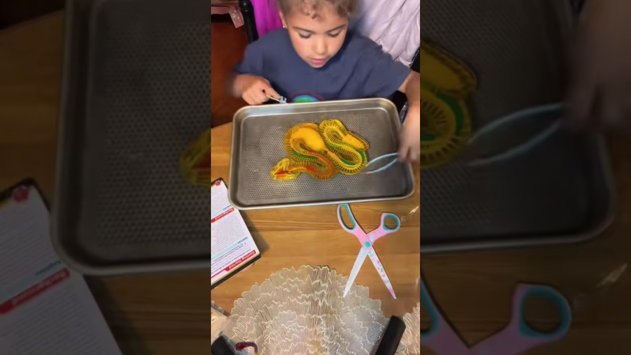 FAST Toy Dissection?! | Dissect It Synthetic Dissection Kit by Top Secret Toys