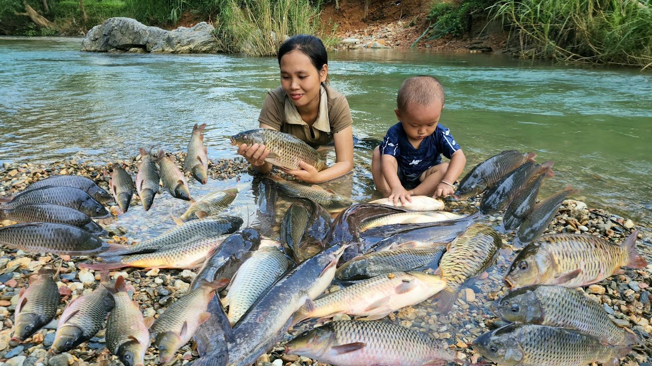 Single mother: Encountering a huge school of fish - catching fish and trapping fish on a rainy day