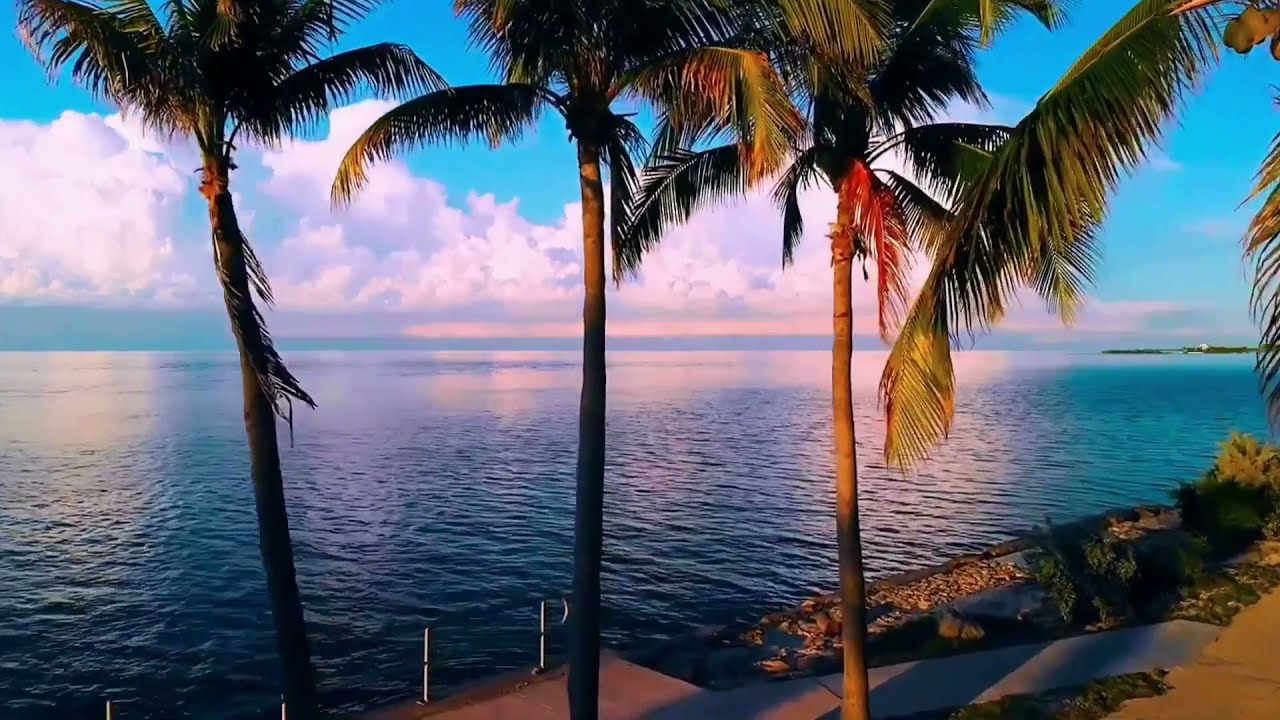 Amazing Nature videos - full HD Free Stock Footage - No copyright