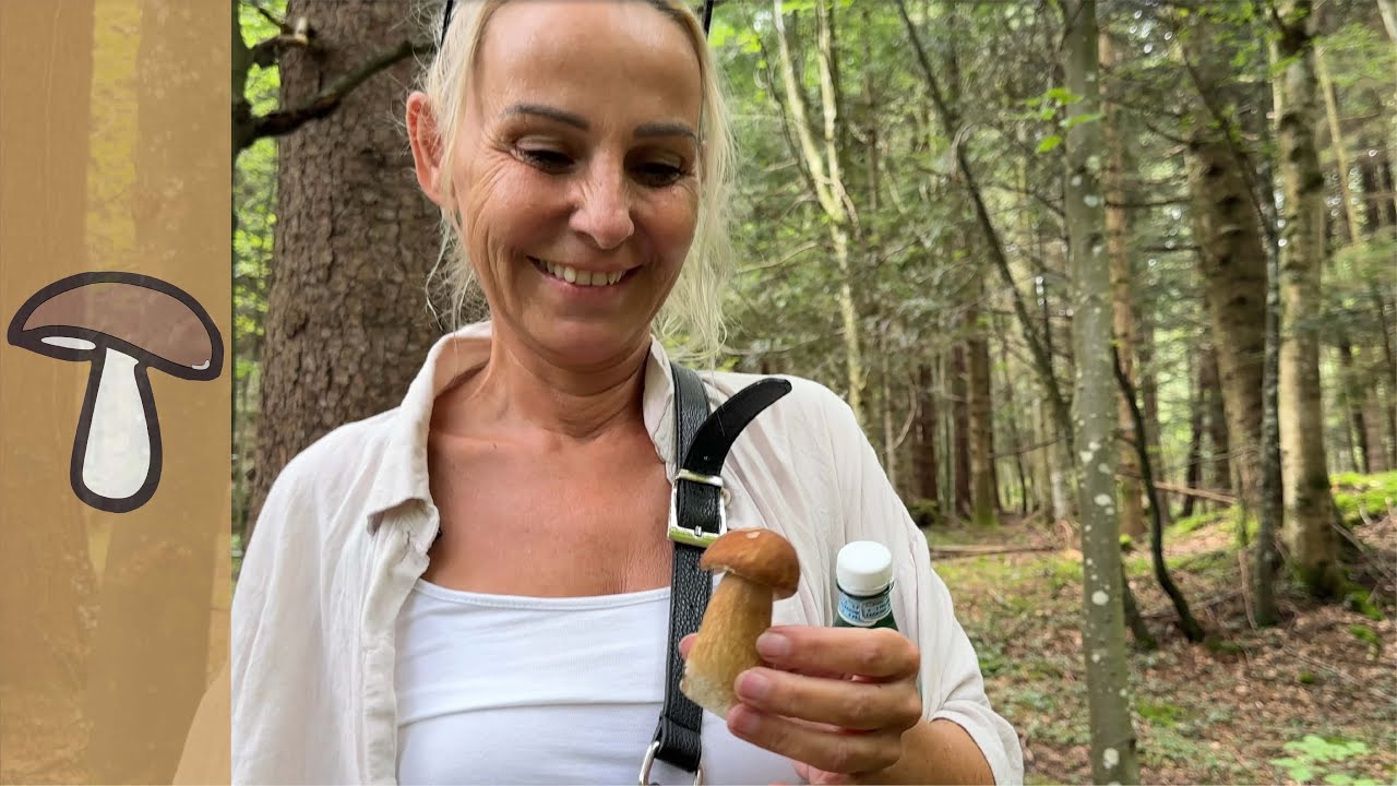 🍄PilzGl&uuml;ck 04. August 2024 - grosse Vielfalt an Pilzen