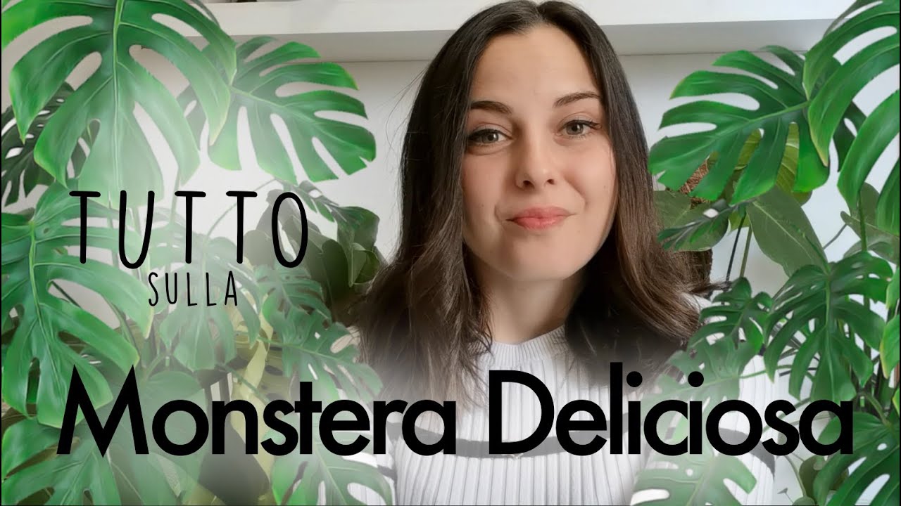 MONSTERA DELICIOSA || cura e coltivazione // tutti i segreti per farla crescere bene