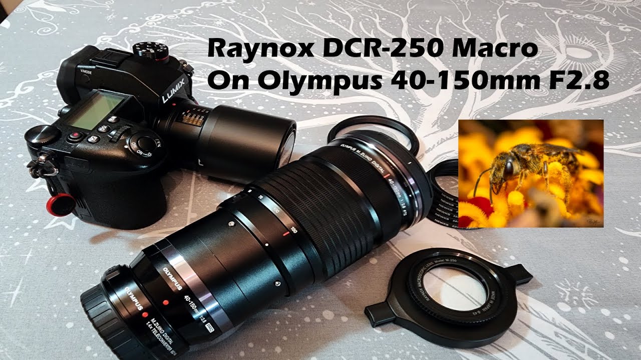 Raynox DCR-250 On Olympus 40-150mm F2.8 Pro Macro Mounting Options