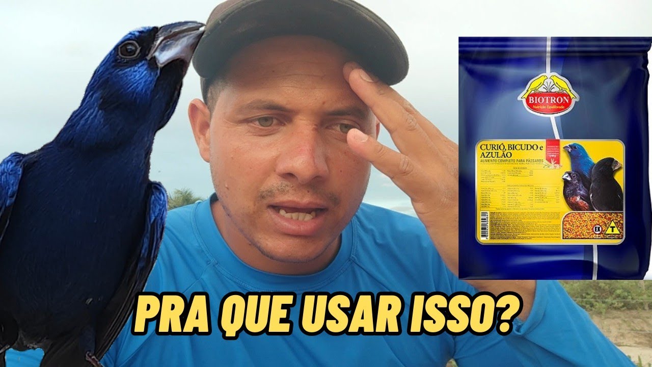 Qual a importância de fornecer ração extrusada para seu azulão, é mais que um alimento