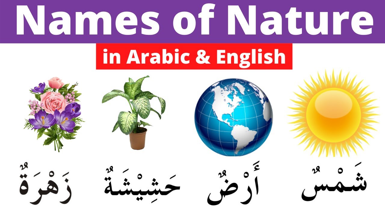 Learn Nature Names in Arabic | Nature Vocabulary in Arabic | Learn Arabic with Salim Qasmi.