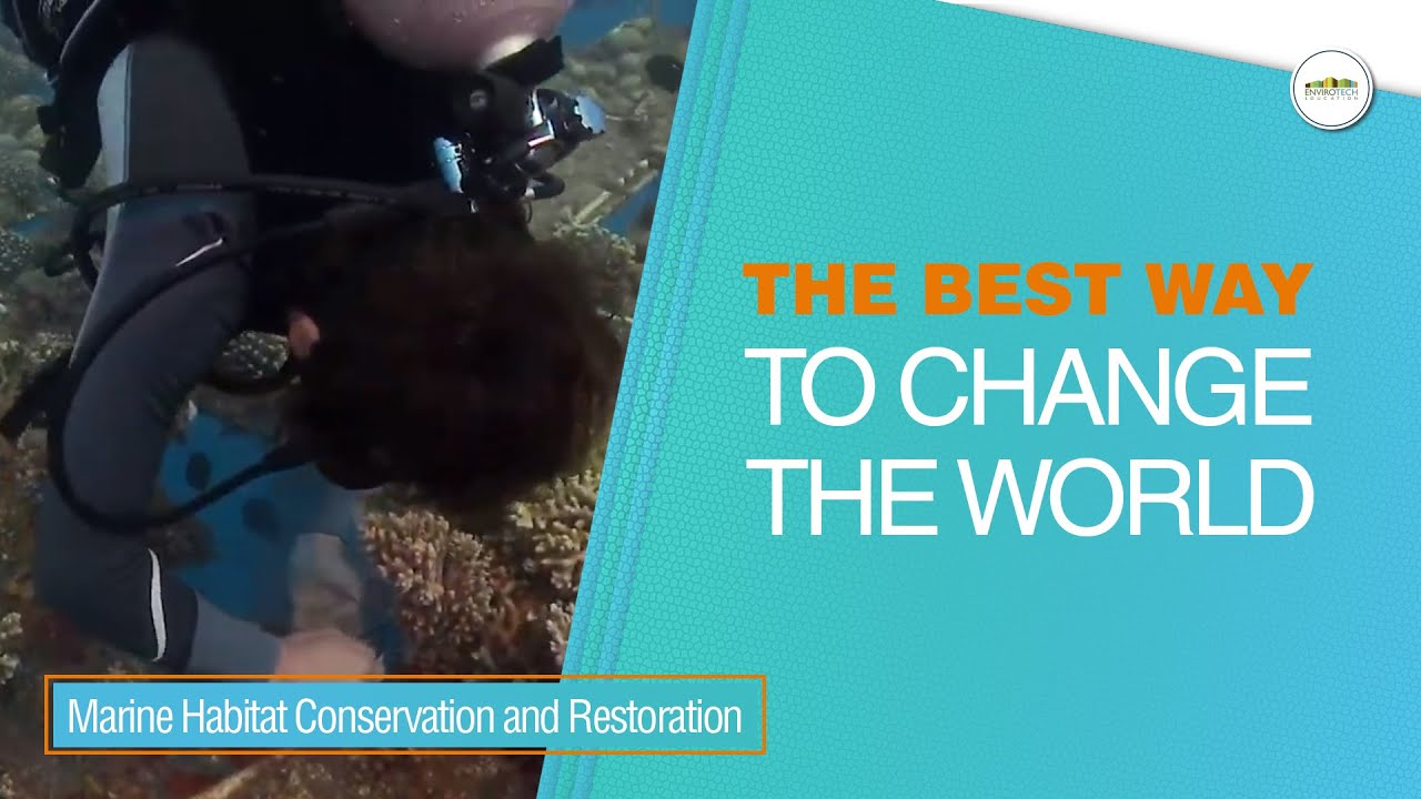 Study Marine Habitat Conservation and Restoration Courses! #marineconservation #marinelife #marine