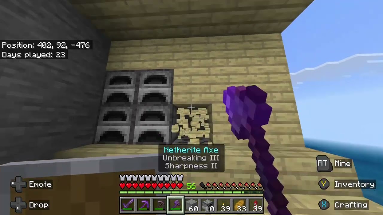 Nether and End (Part 10/13)