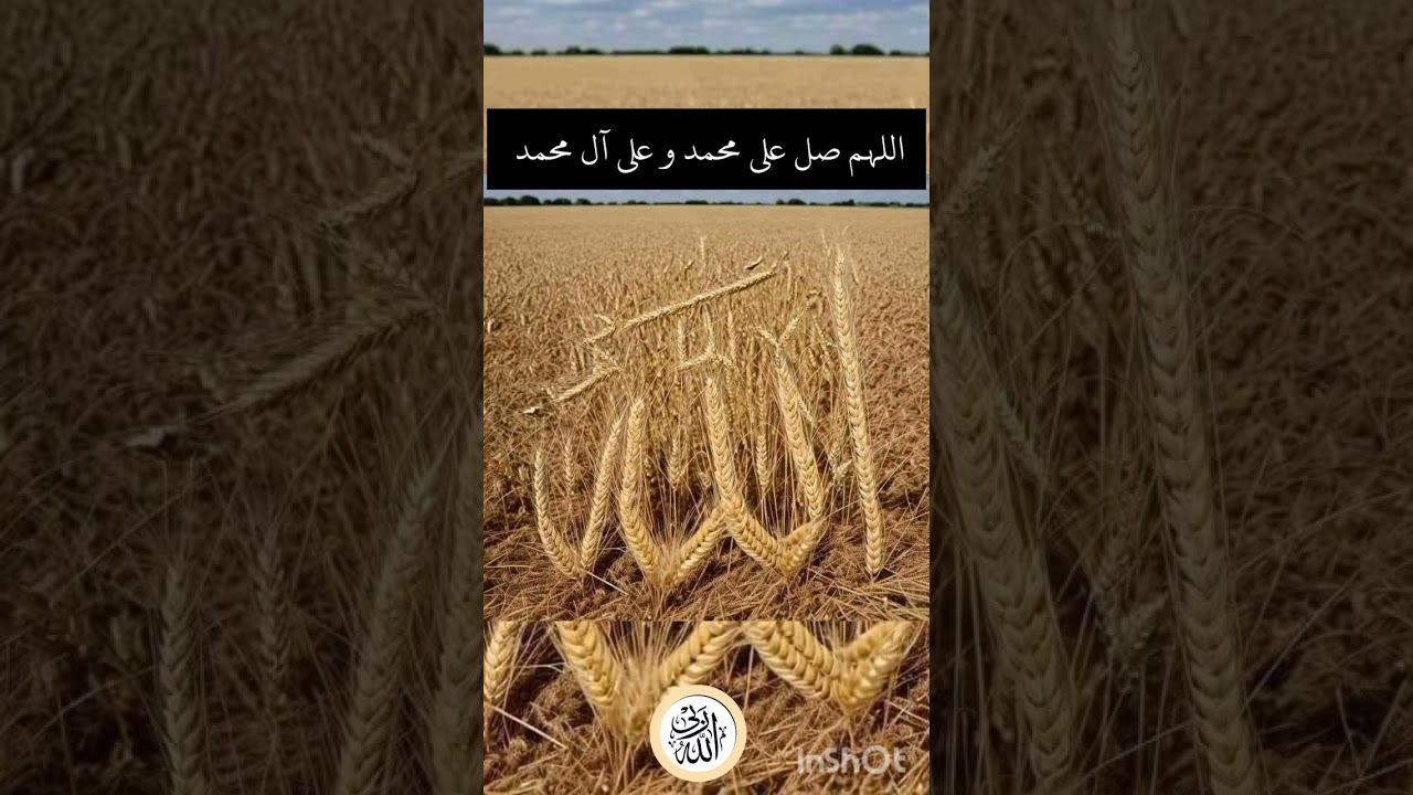 Best Nasheed ALLAHU RABBI 🤎🌼🧡🌼🧡