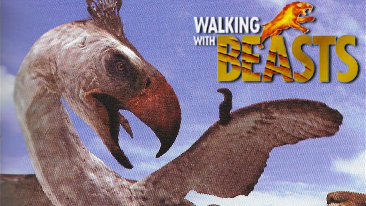 Walking With Beasts [2001] - Phorusrhacos Screen Time