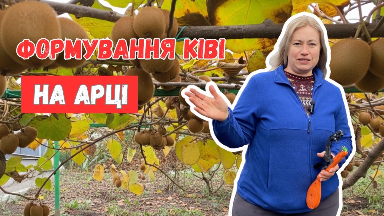 Ківі на арці: як легко сформувати🥝 