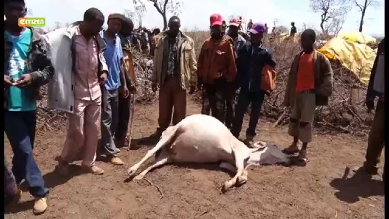 Taharuki Isiolo