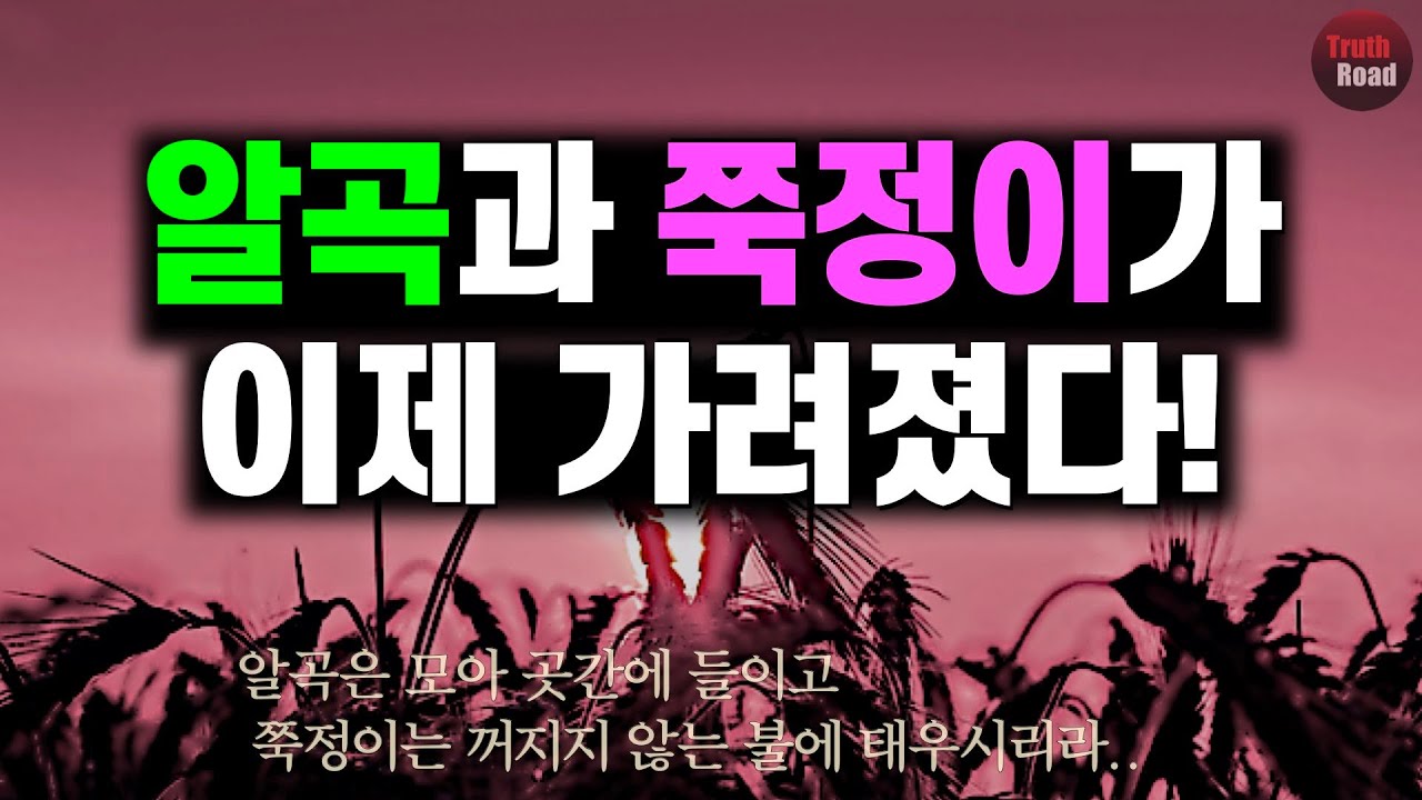 알곡과 쭉정이(가라지)가 이제 가려졌다!