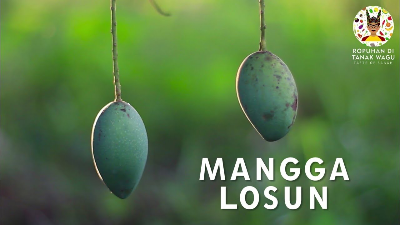 Resipi Mangga Losun / Raw Mango stir fry recipe