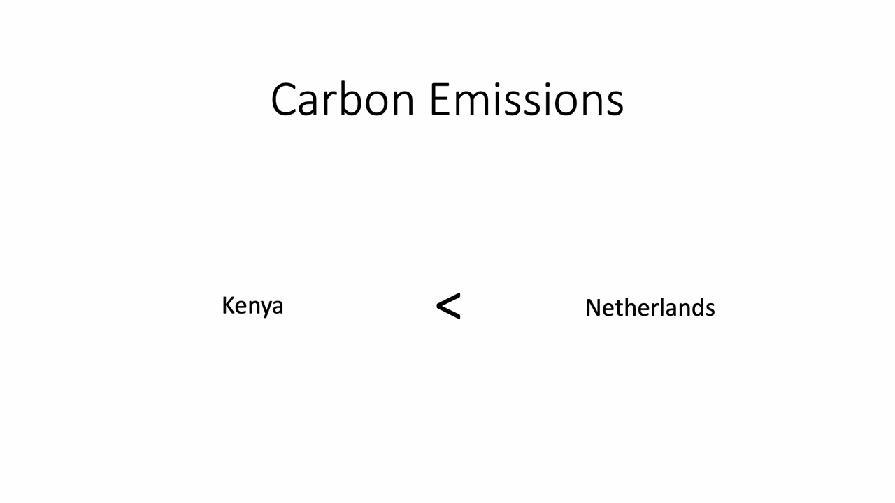 What is the carbon footprint of a flower?